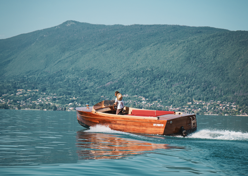 9. Privatisation – 60 min – Greenwood III 