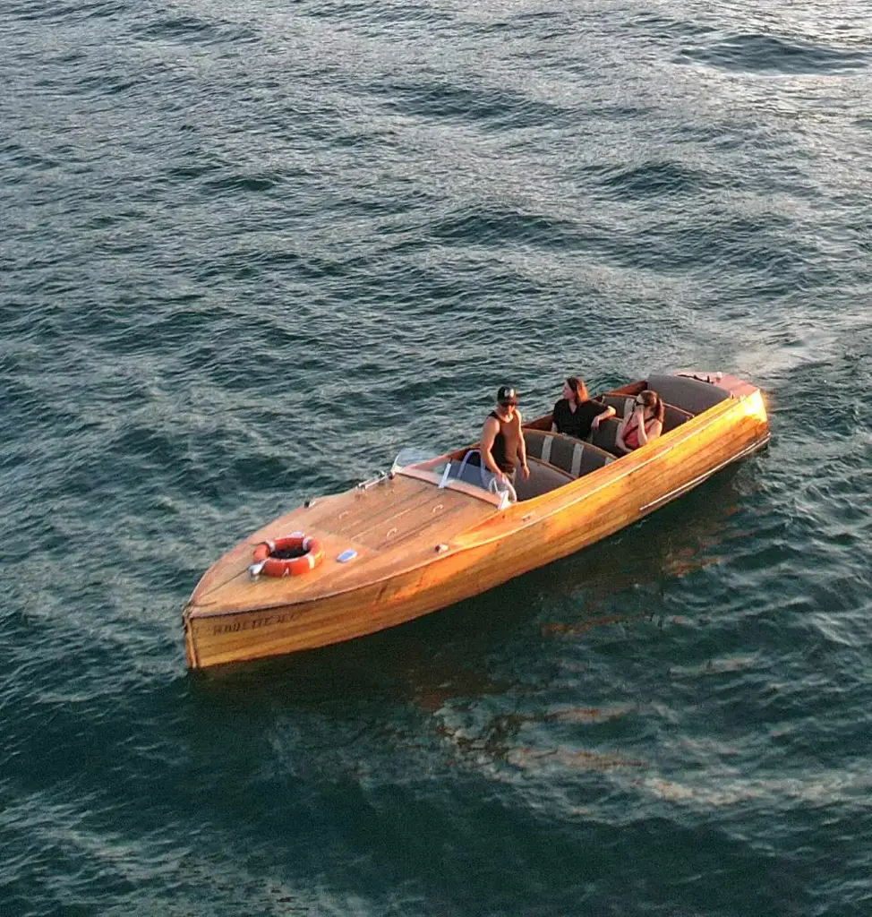 Electric Cruise: 30-45 minutes (1 ticket) (Ticket Enfant)